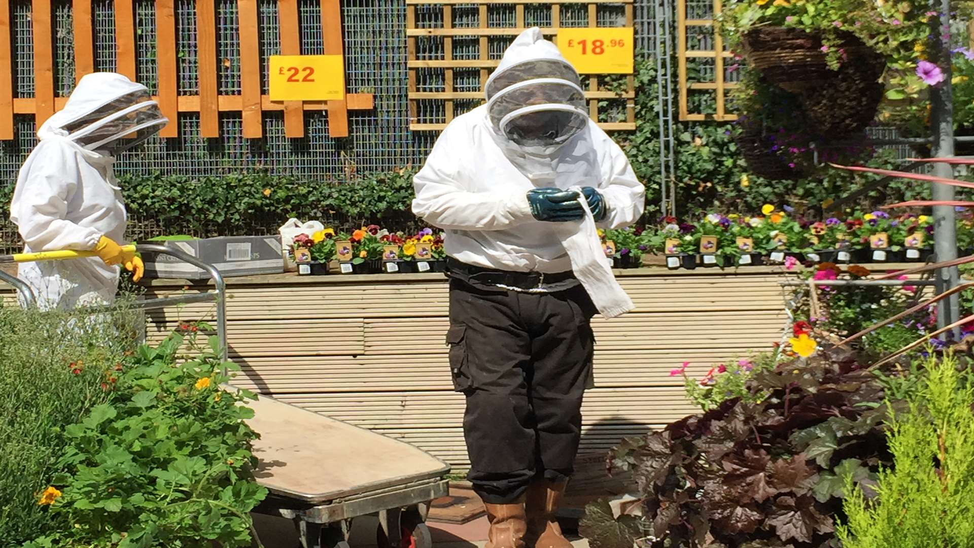 Representatives for Mid Kent Beekeepers Association attended to put a temporary hive up. Pic: Nik Fowden