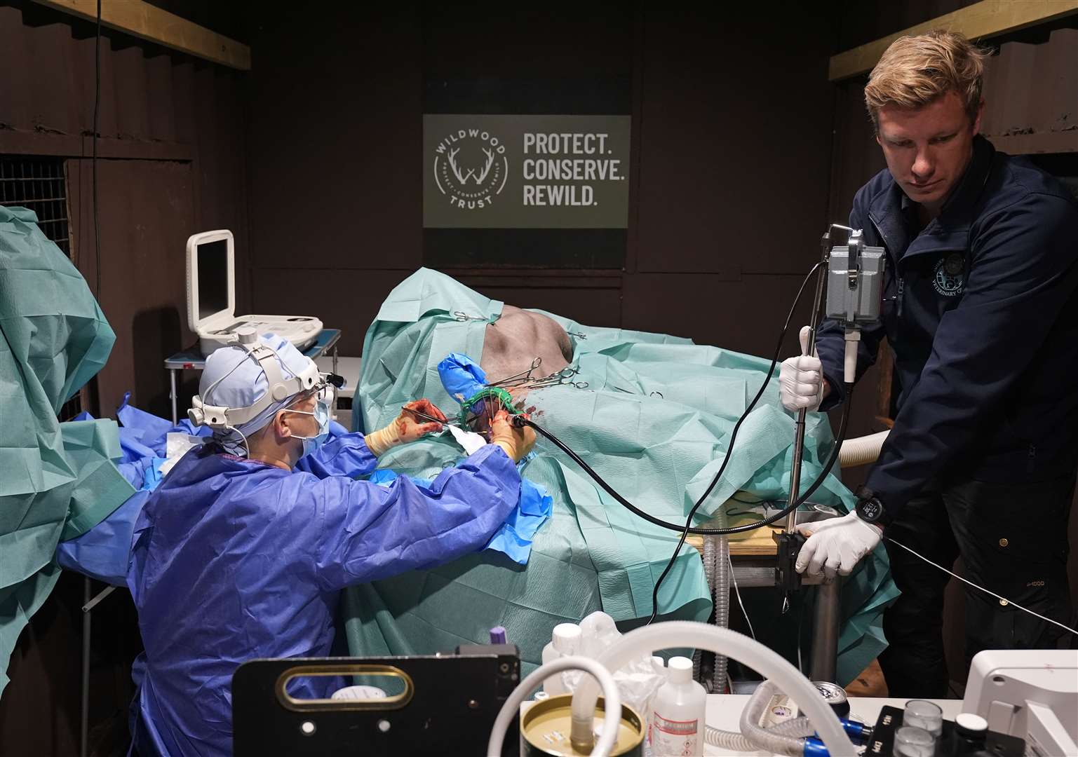 Specialist wildlife vet Romain Pizzi performs surgery to drain fluid from the brain of brown bear Boki (Gareth Fuller/PA)