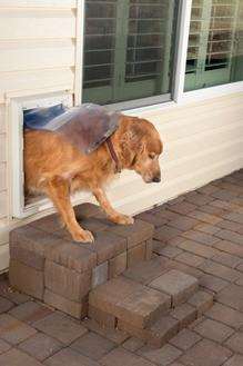 A dog flap, similar to the one where the burglary took place