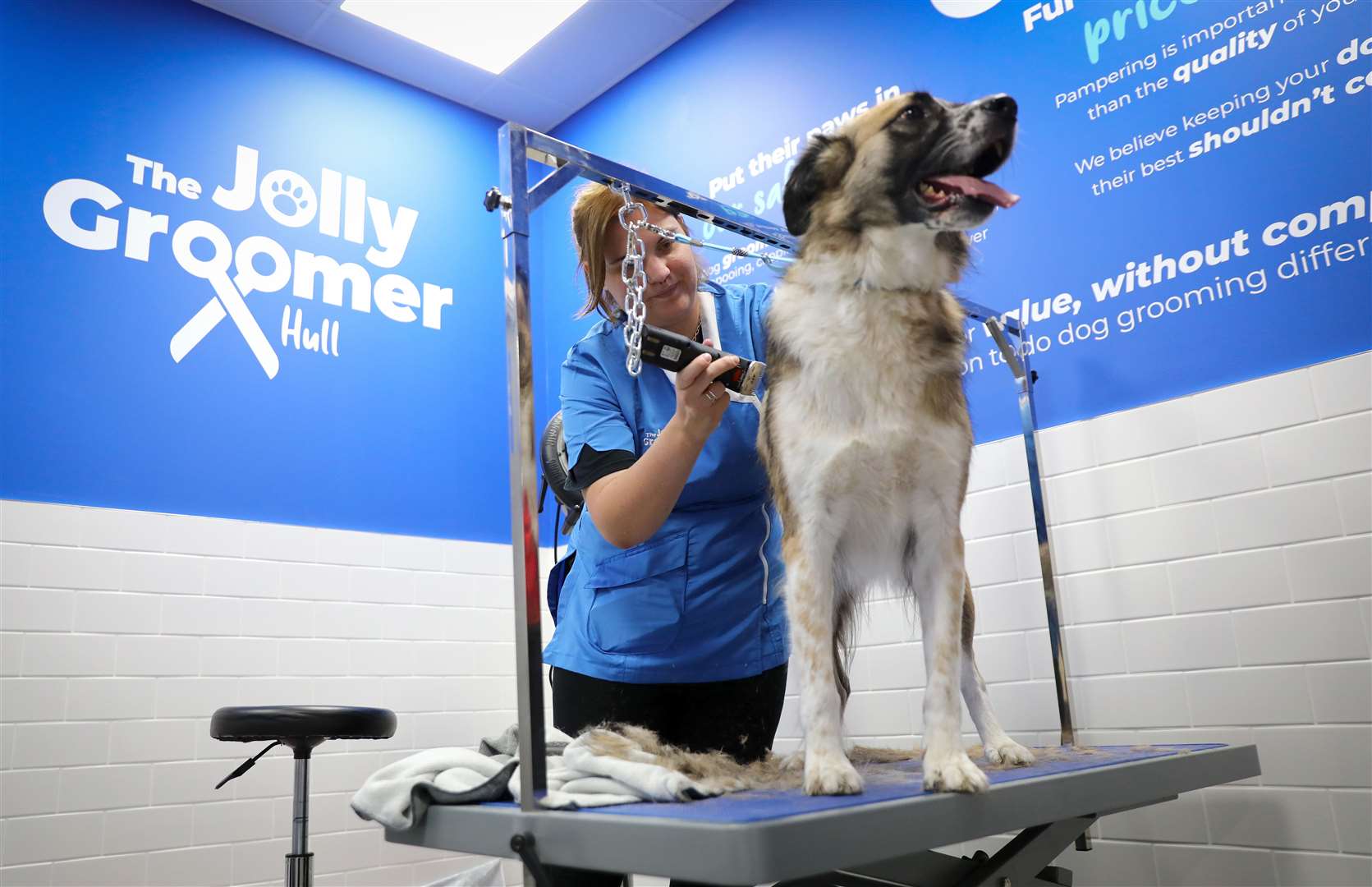 The chain, which has 99 shops, also runs grooming services from stores (Jollyes/PA)