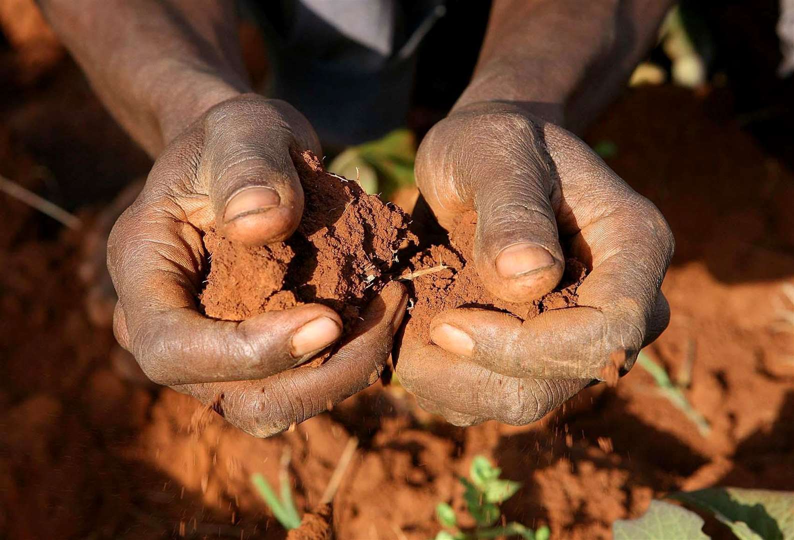 Global drought is an increasing concern (Julien Behal/PA)