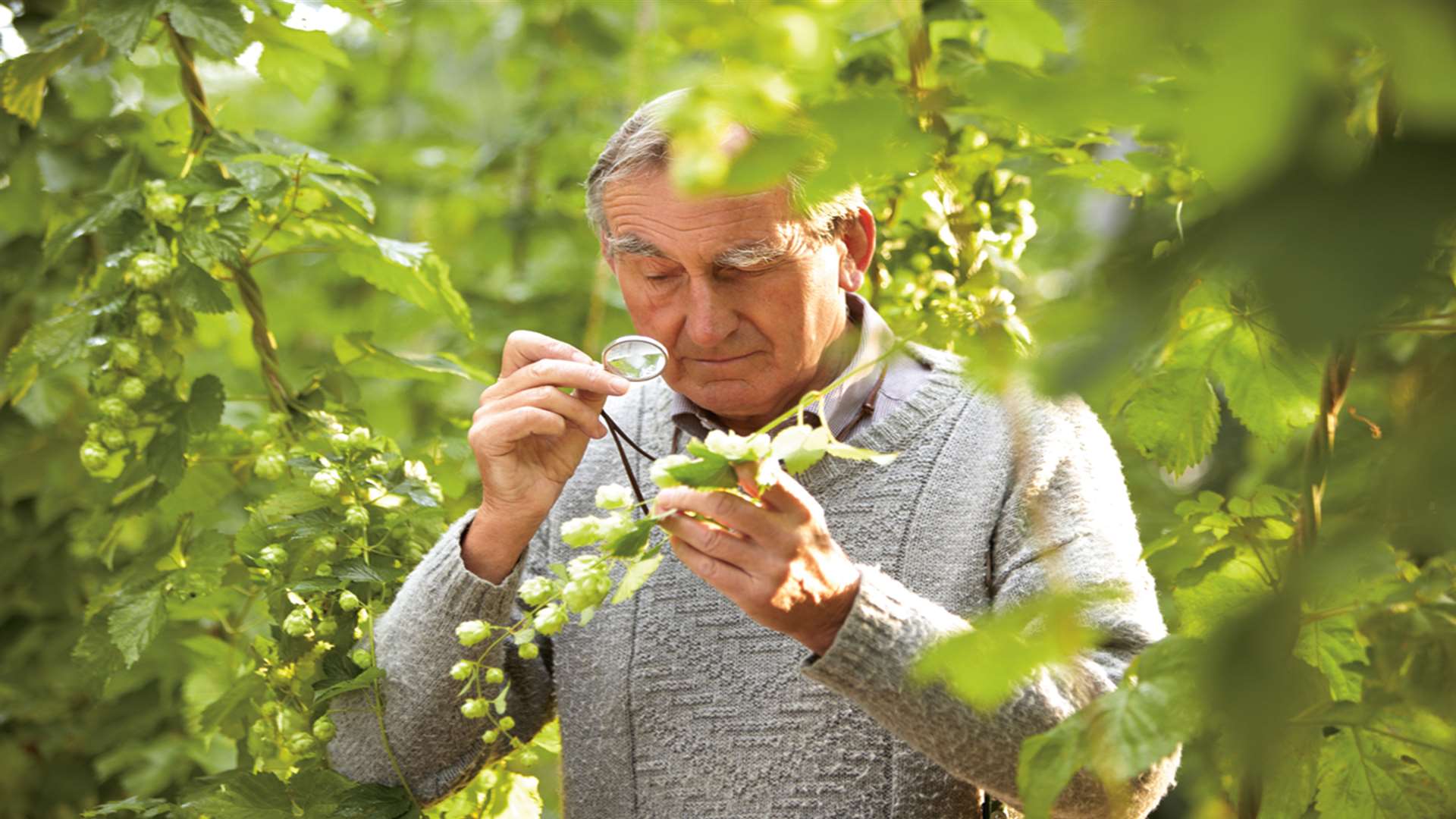 Hop grower Tony Redsell