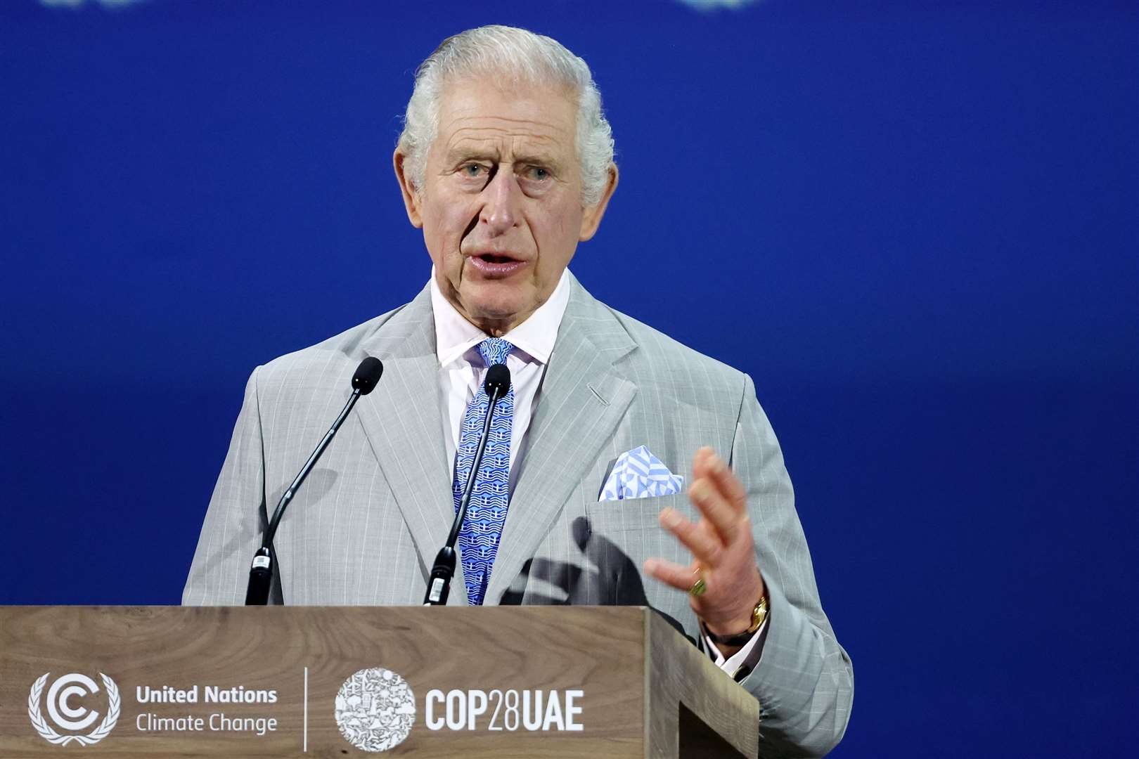 Charles addressing Cop28 on Friday (Chris Jackson/PA)