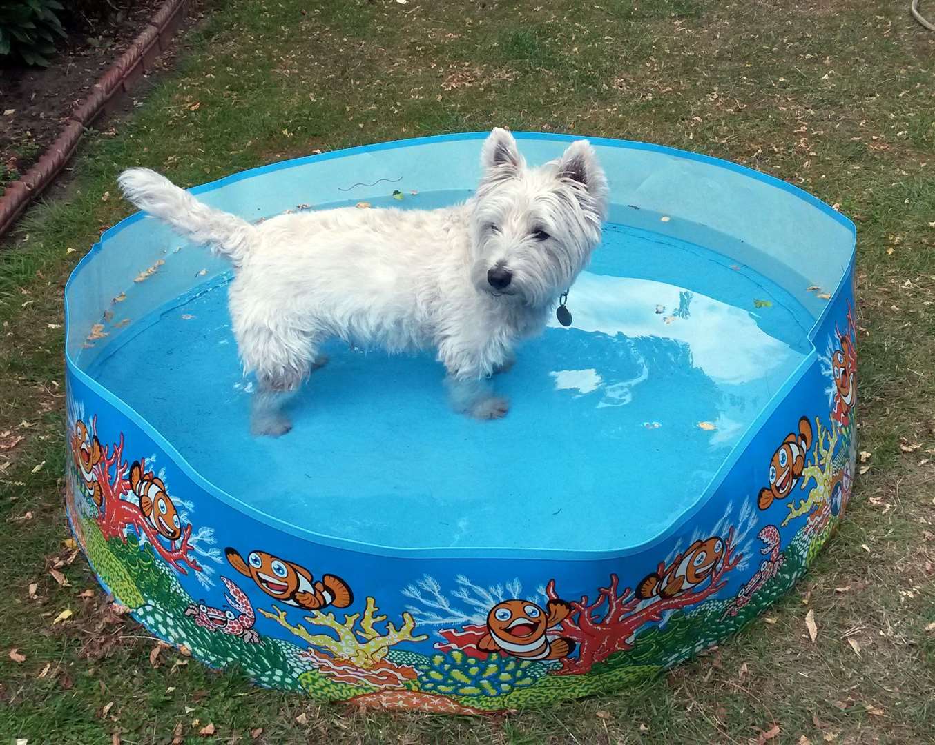 Water companies are urging people to use water more carefully and not to fill paddling pools (Martin Keene/PA)