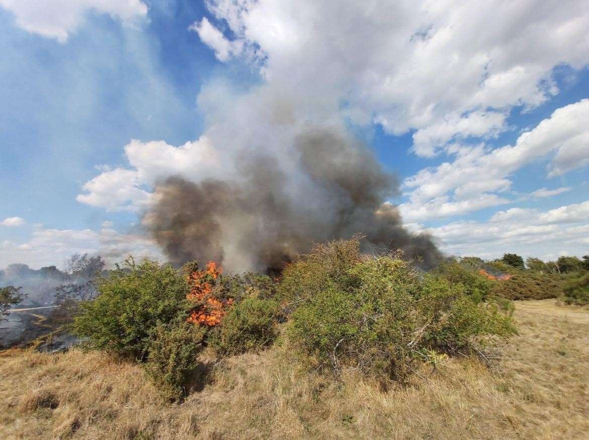 Firefighters tackling a huge blaze on Dartford Heath last year. Picture: Kent Police Dartford