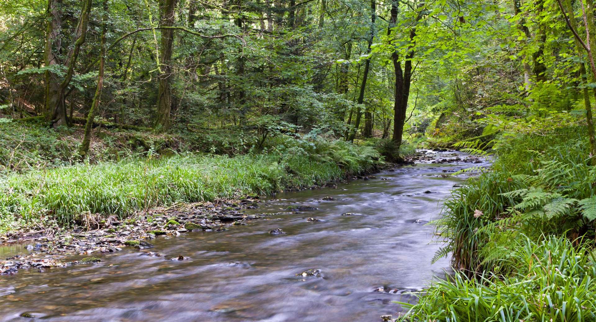 The EA and Ofwat said some firms may be releasing unpermitted sewage discharges into rivers and watercourses (National Trust Images/Robert Morris/PA)