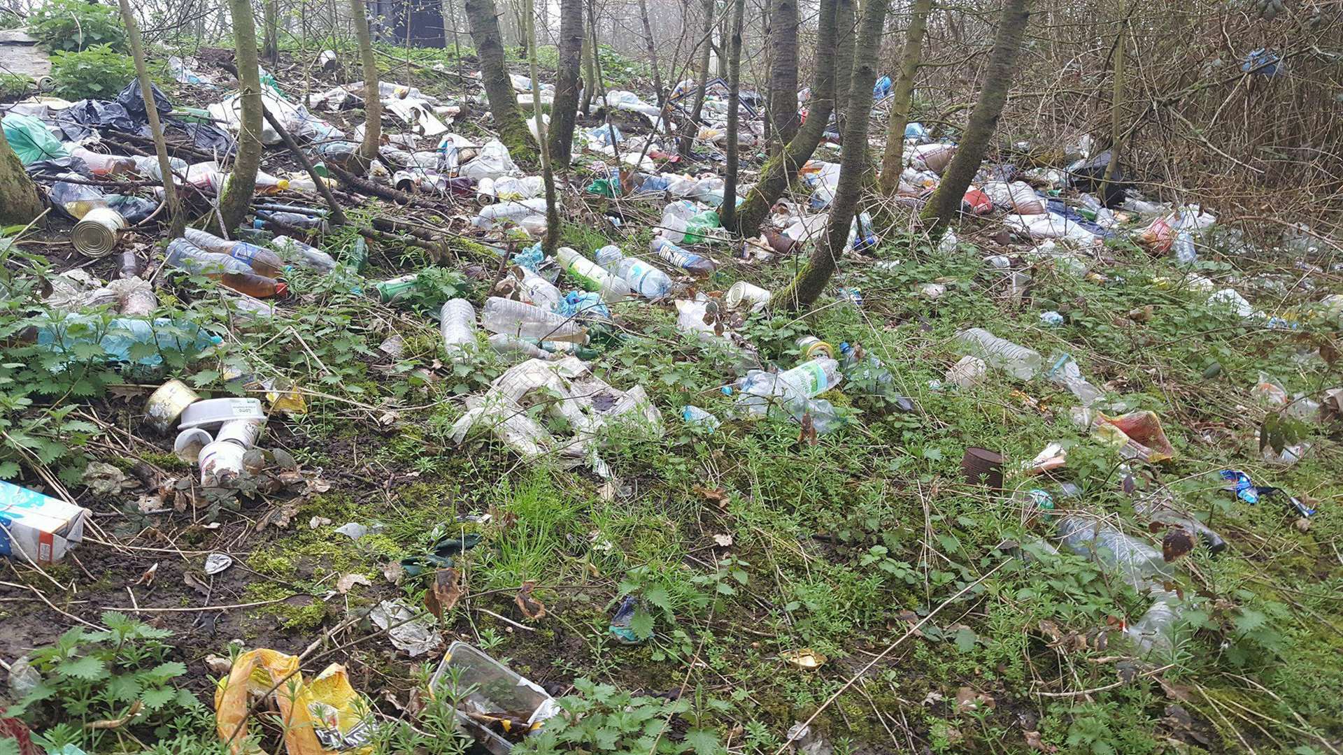 Mounds of rubbish litter the A2's roadside bank