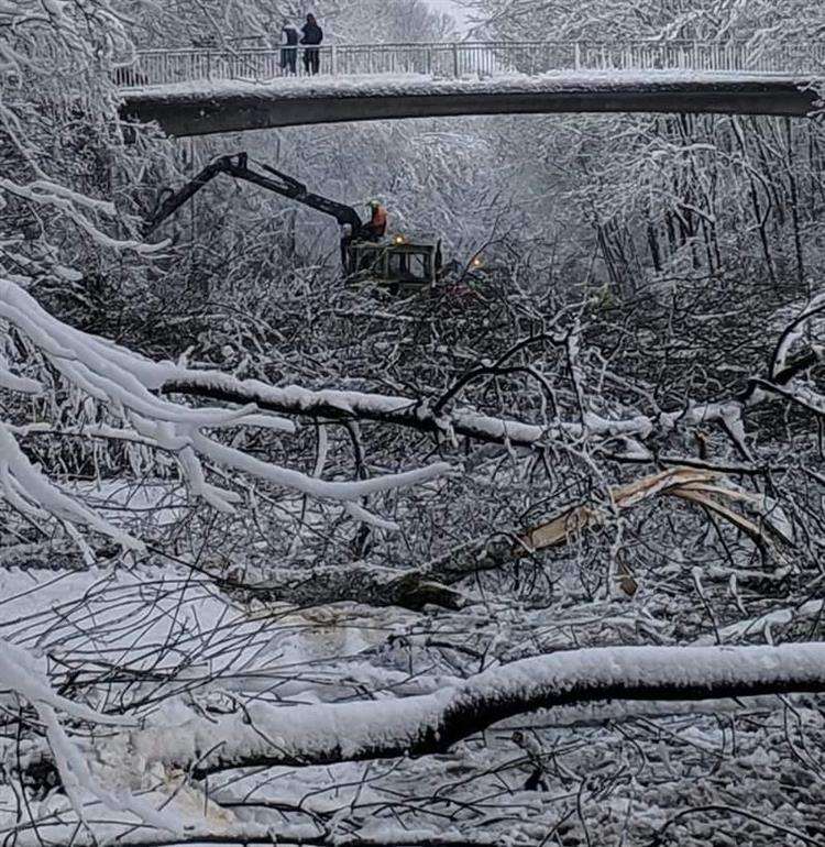 The masses of fallen trees have completely blocked Walderslade Woods Road. Pic Thomas Simpson Brown. (7065047)