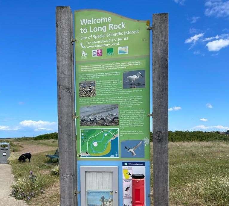 Bird Wise East Kent developed the plans at Long Rock in Swalecliffe due to concerns wintering birds do not have adequate space to gain enough energy for migration. Picture: Gavin Serkin