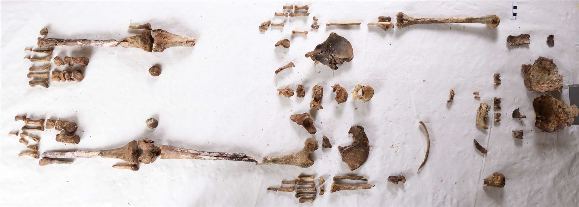 The remains discovered in the wall of a church in Kent were verified to belong to St Eanswythe in 2020 (Matt Rowe/PA)