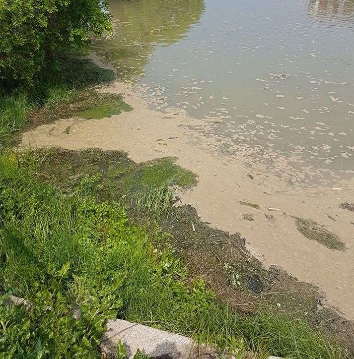 Brownish substance in the Creek. Picture: Michael Woodward (13003818)