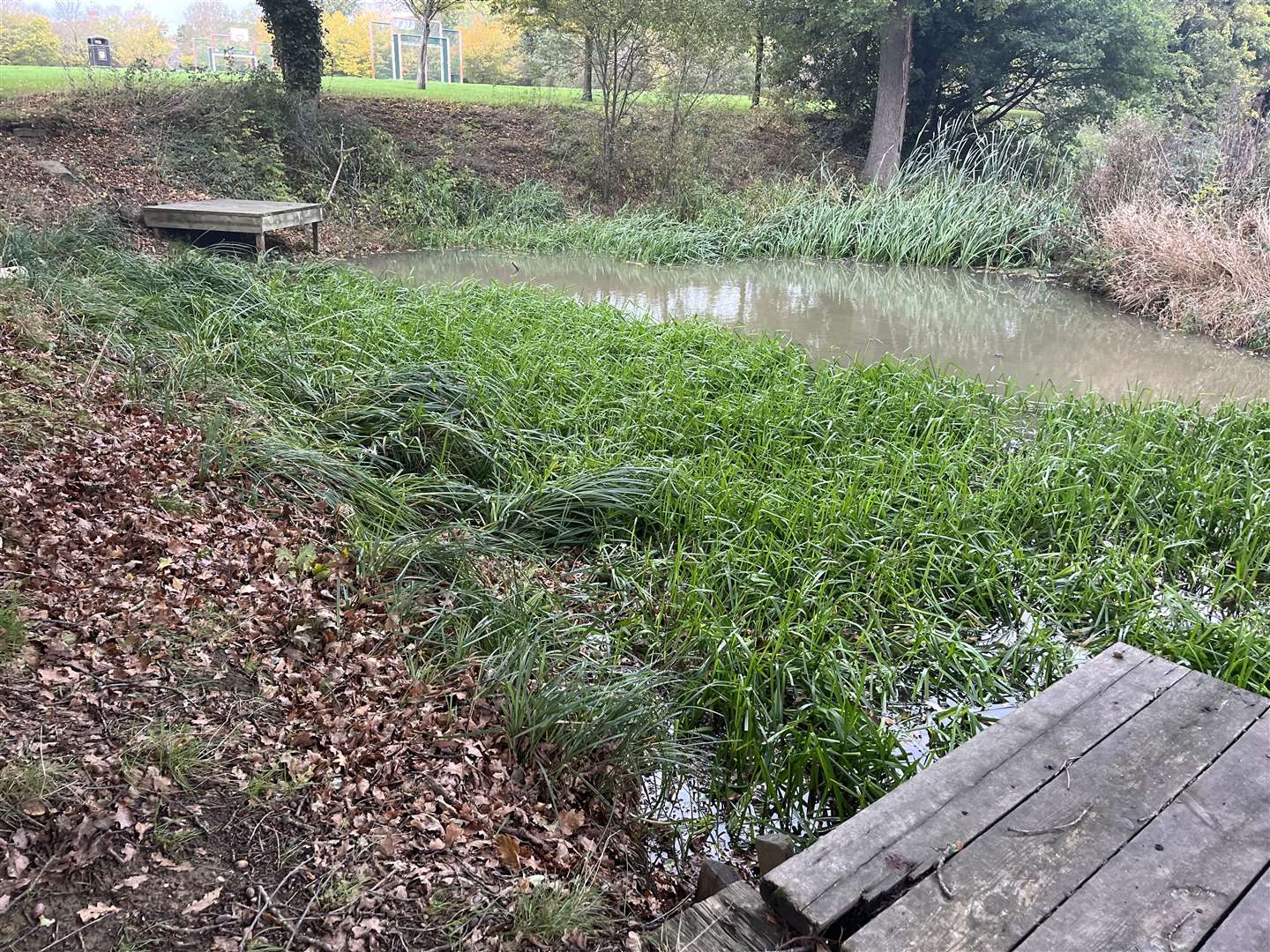 The Moat is in the middle of the Park Farm housing estate