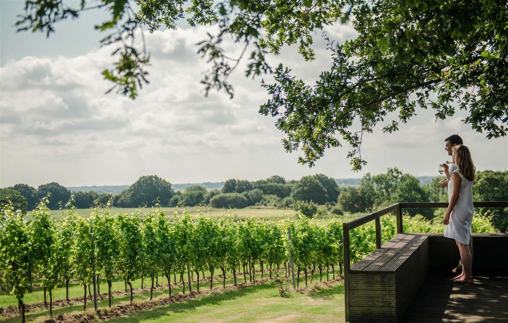 Gusbourne vineyard in Appledore. Picture: Visit Kent