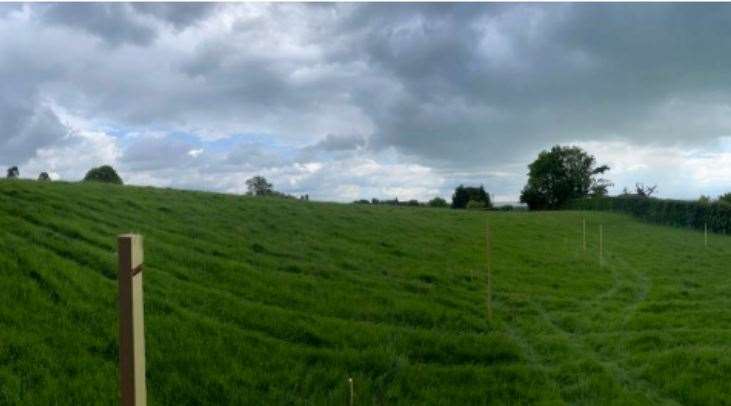 The site chosen for the solar array at Newlands in Crockham Hill