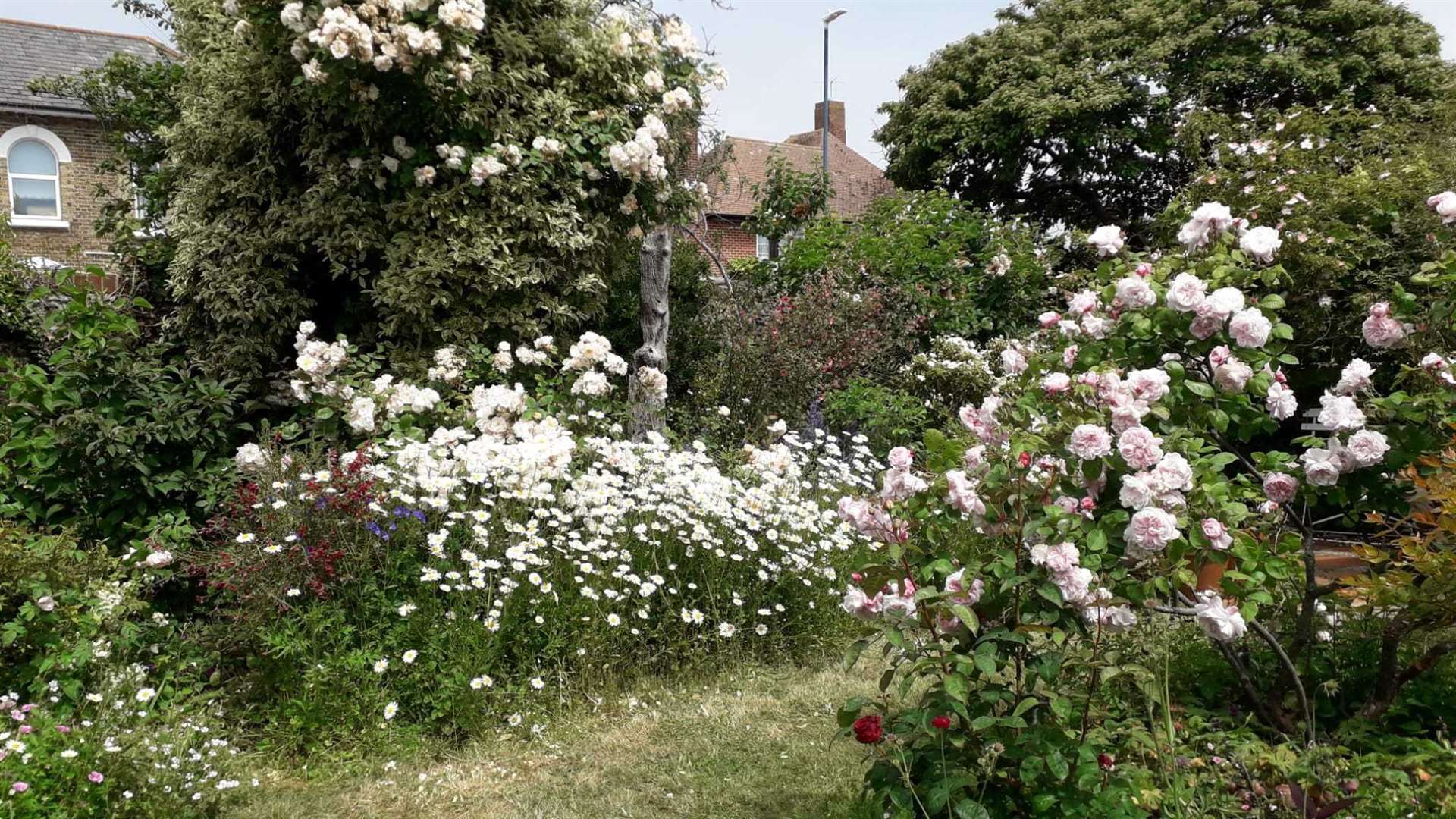 Zinnia Slade’s Whitstable garden is “her life”