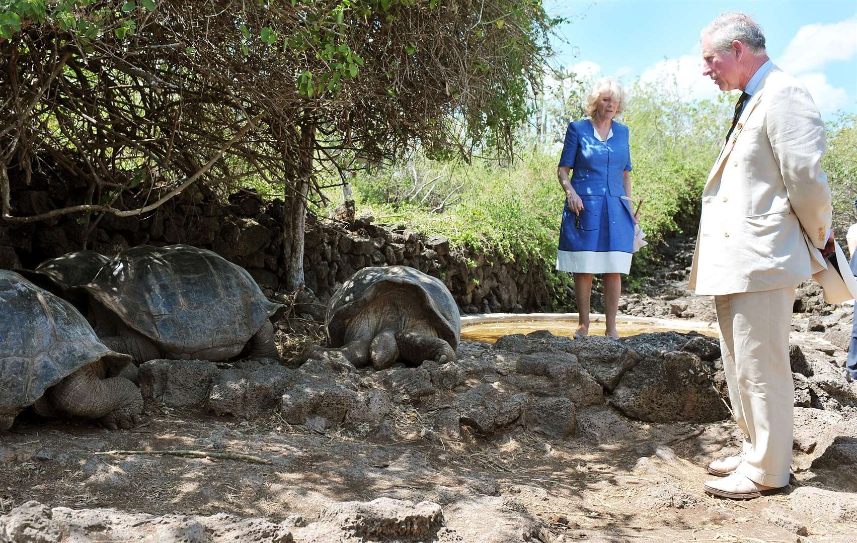 The Prince of Wales and the Duchess of Cornwall come face to face with giant tortoises at the Galapagos National Park (John Stillwell/PA)