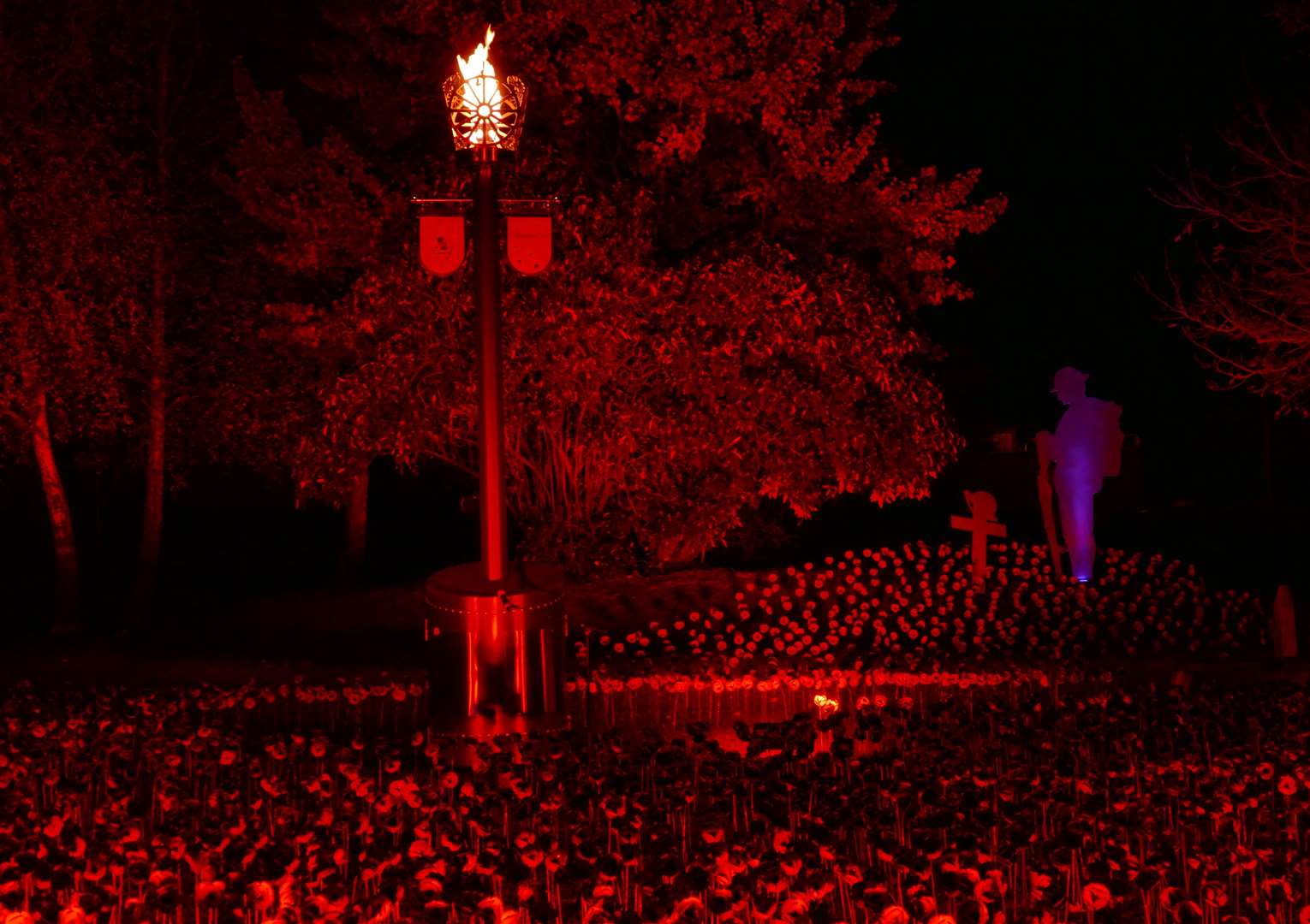 In November 2018, Civic Park looked similar to the Tower of London poppy tribute. Picture: Andy Clark