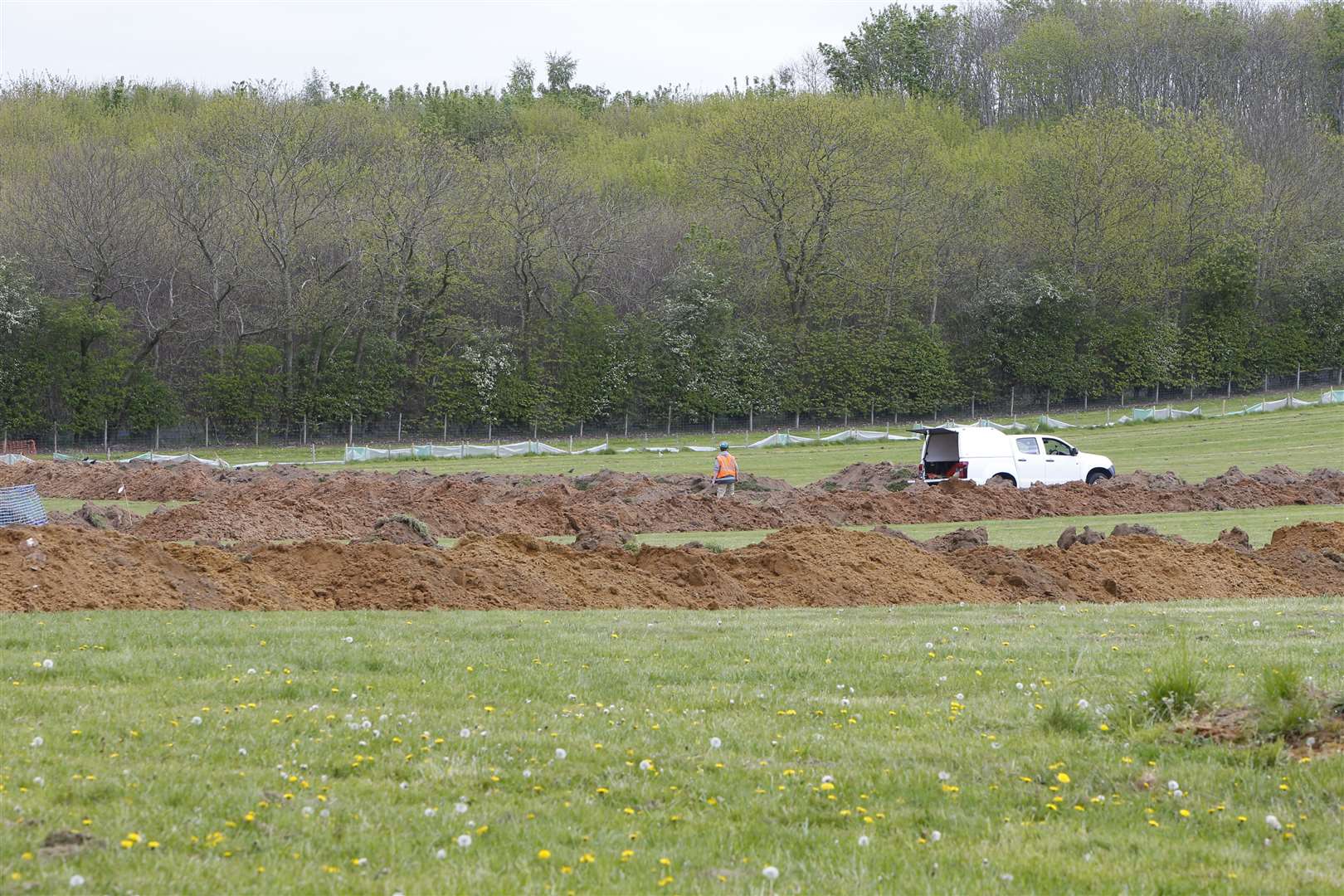 Until Thursday, the site was a wildflower meadow and dedicated nature reserve