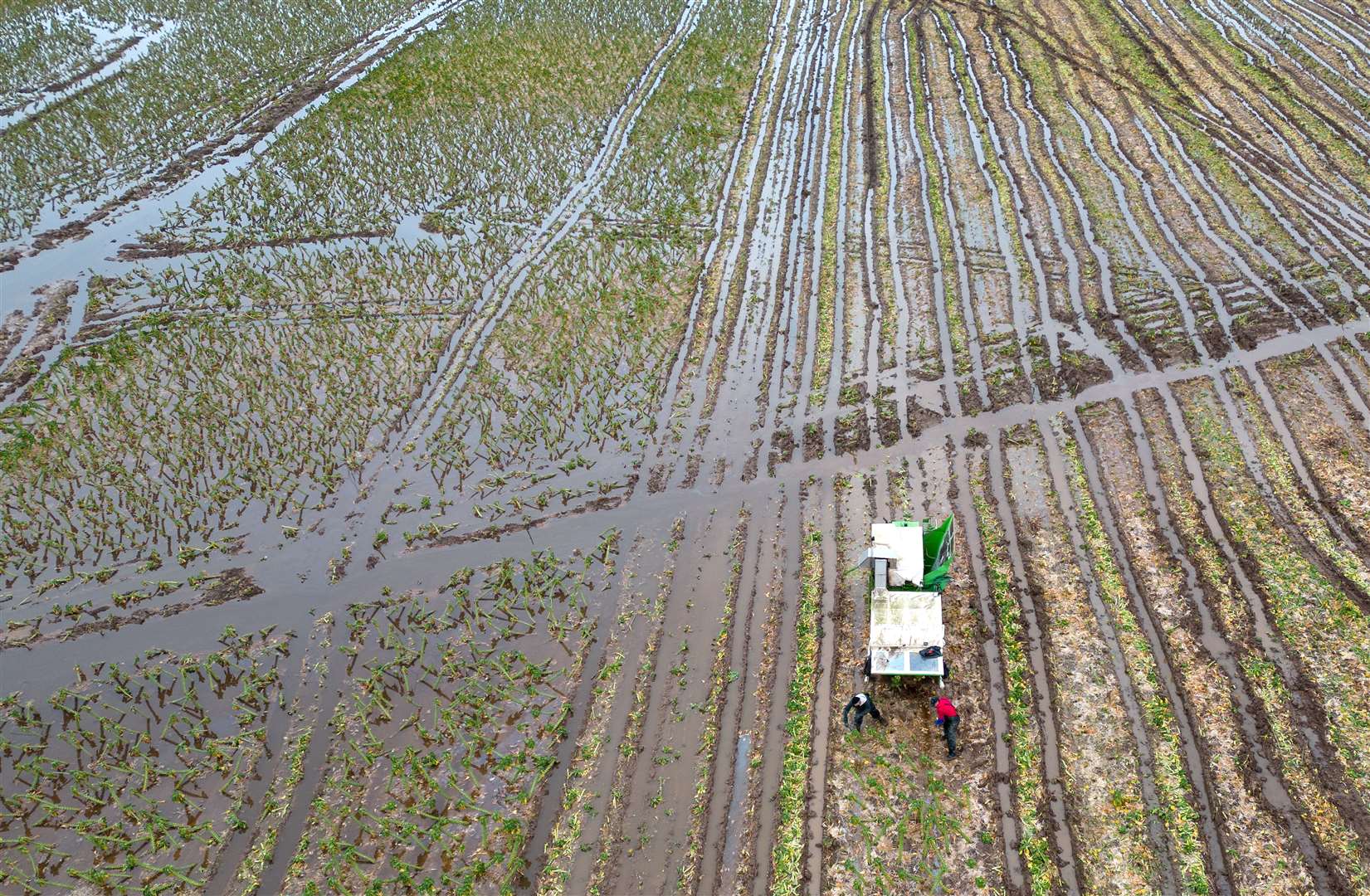 A fall in the volume of domestic production of vegetables between 2021 and 2023 was mainly caused by extreme weather conditions (Joe Giddens/PA)