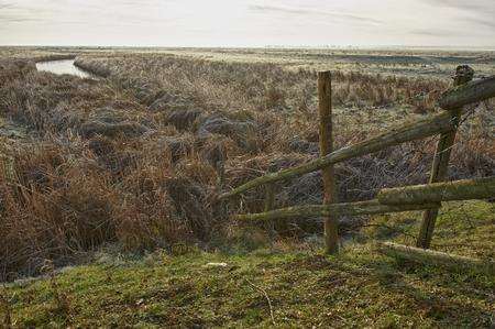 Elmley Marshes