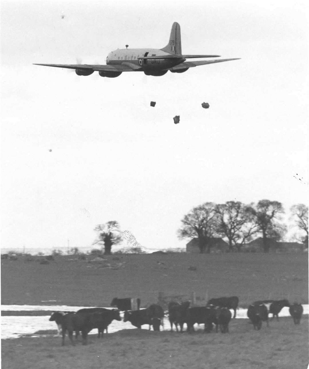 The sacks are dropped over Sheppey