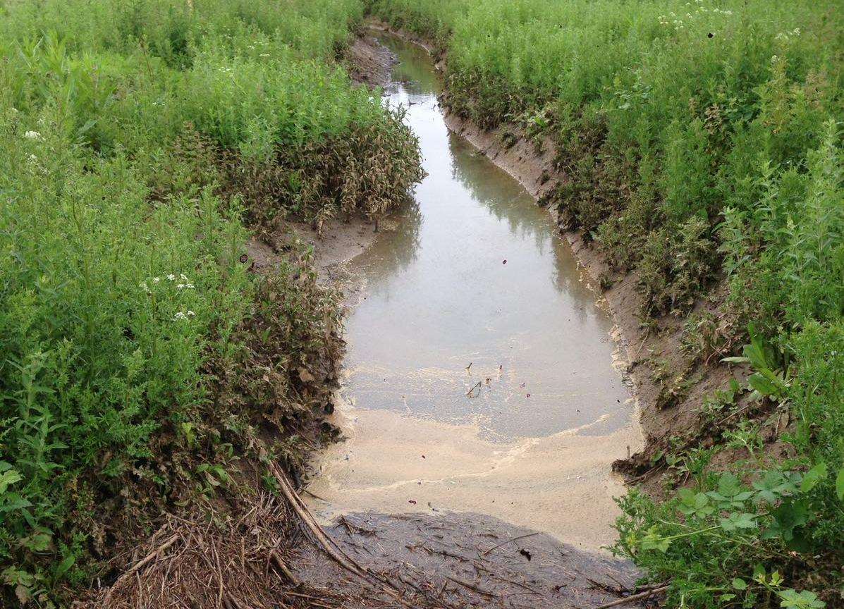 The stream near Sean Maxwell's home at Sheerstone, Iwade