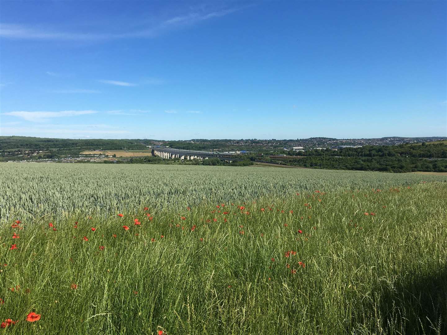 Views at Nashenden Nature Reserve