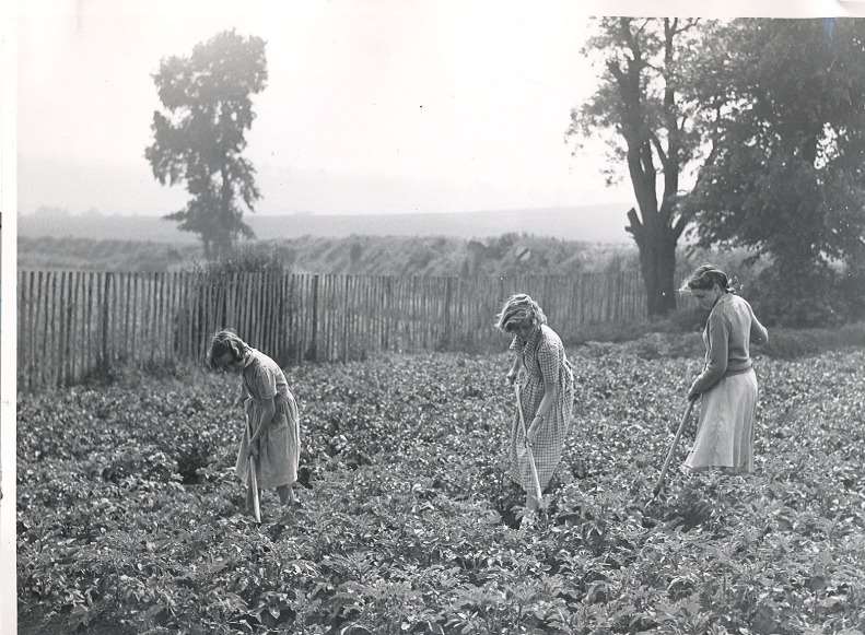 Northfleet School for Girls ran a farm from 1950 to 1986. Picture courtesy of Emily Huddle