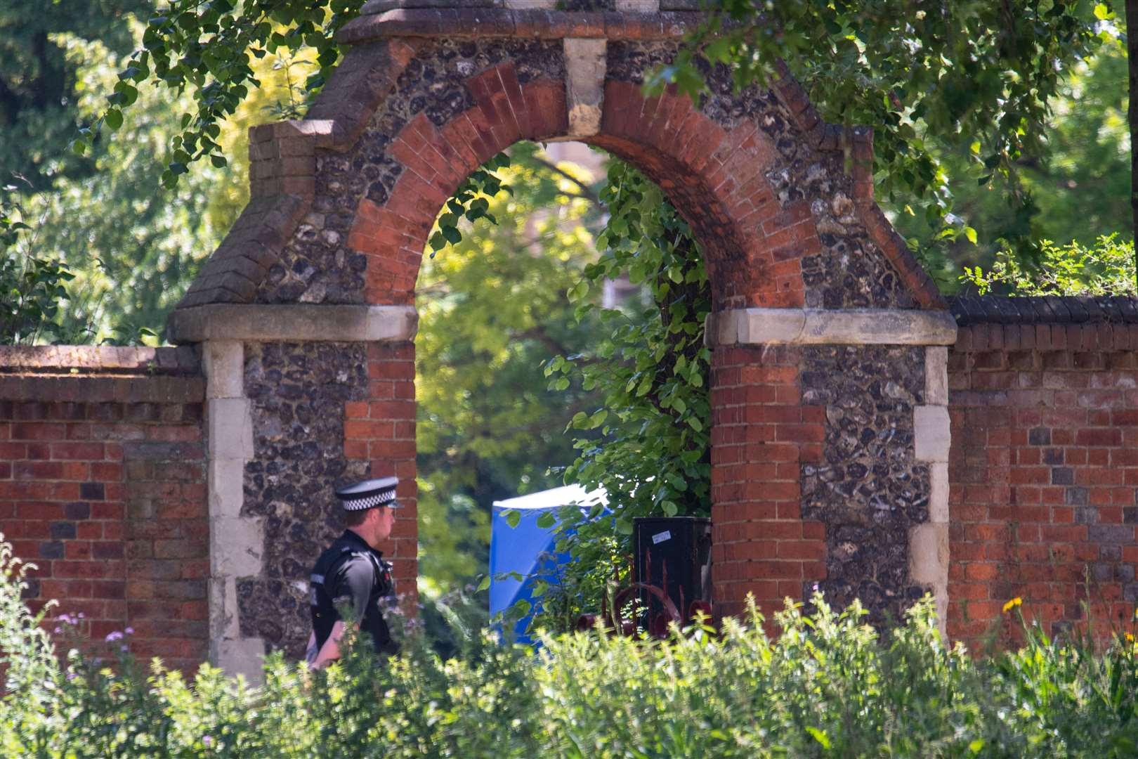 Forbury Gardens lion image goes viral as residents show unity after attack