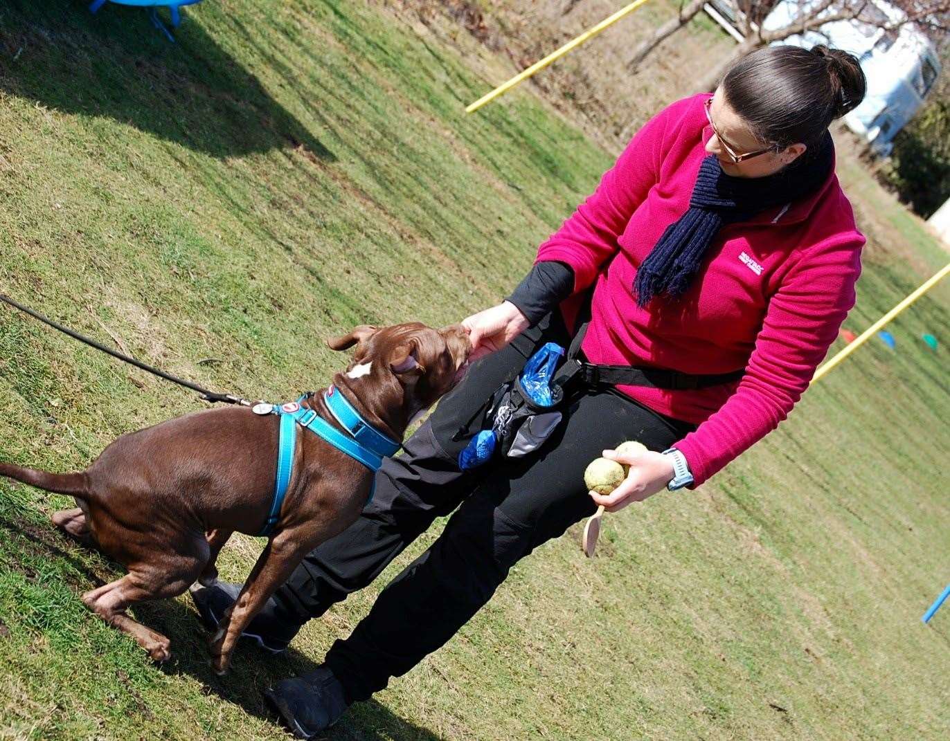 XL Bully Colin with his owner Stephanie Vine. Photo credit: Stephanie Vine