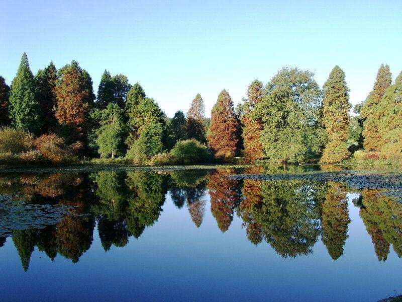 Bedgebury Pinetum