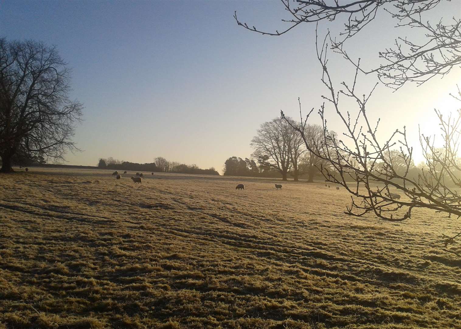 Eridge Park will be the setting for the second Black Deer Festival