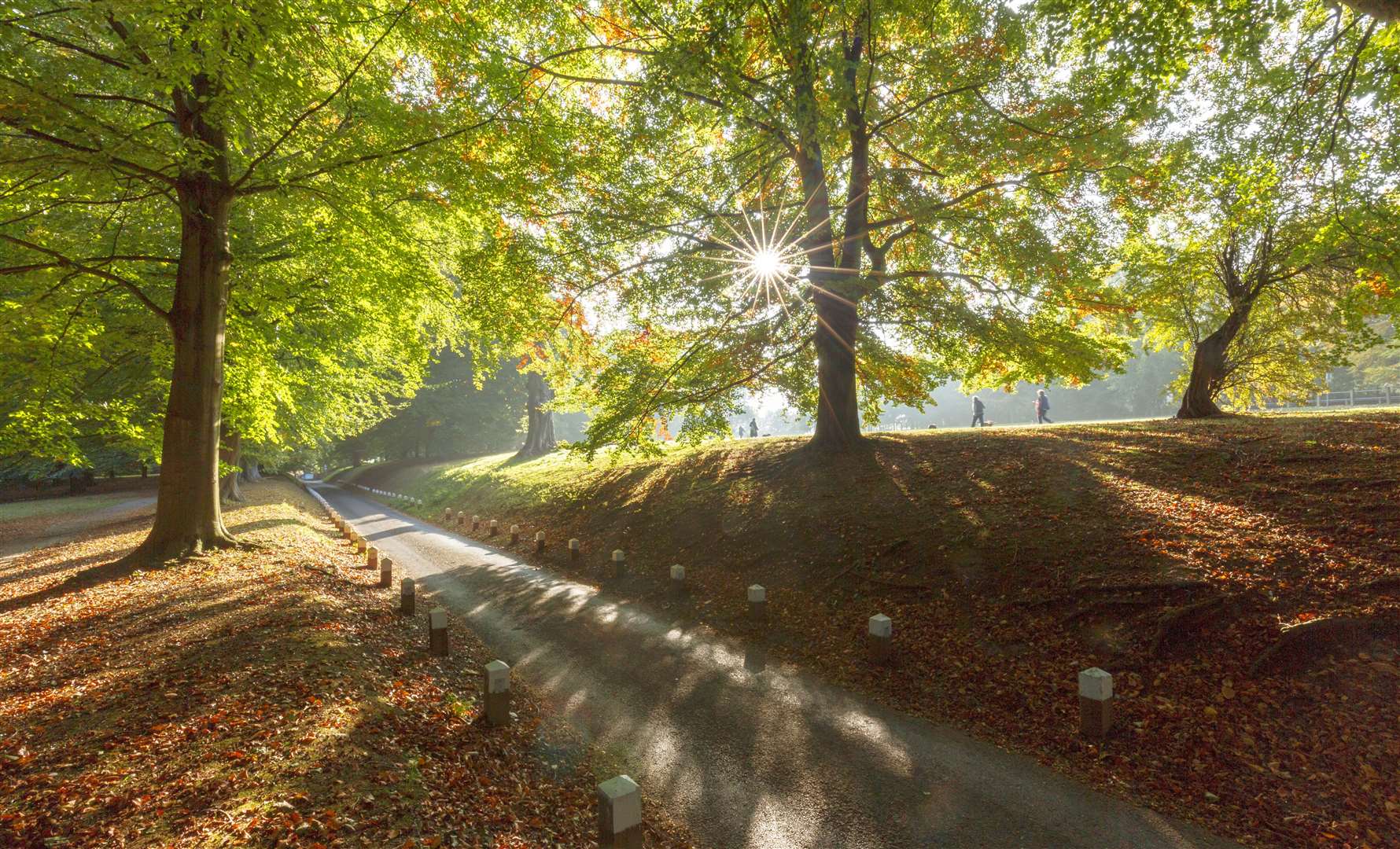 Mote Park. Picture: Maidstone council