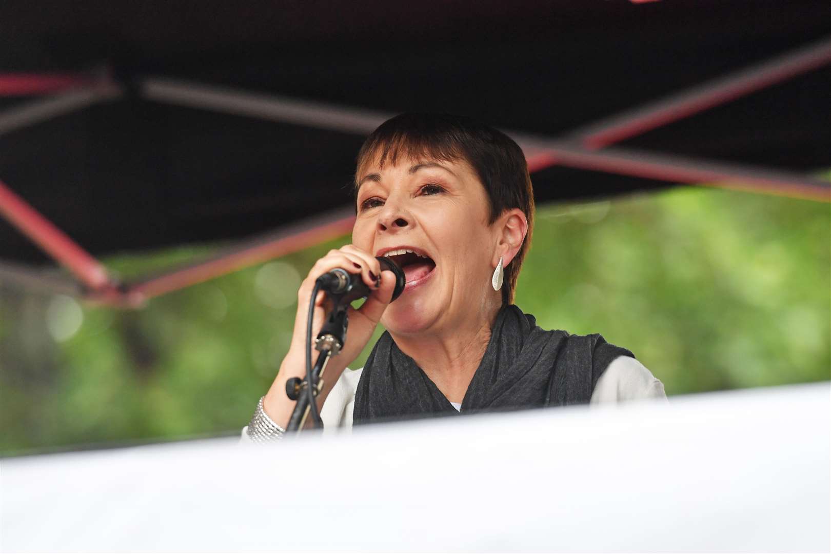 Caroline Lucas is among the claimants in the case (Jacob King/PA)