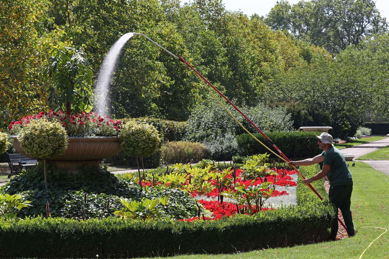 Royal Parks gardener Phil Pearl waters a display of petunias in Regent’s Park, London (Jonathan Brady/PA)