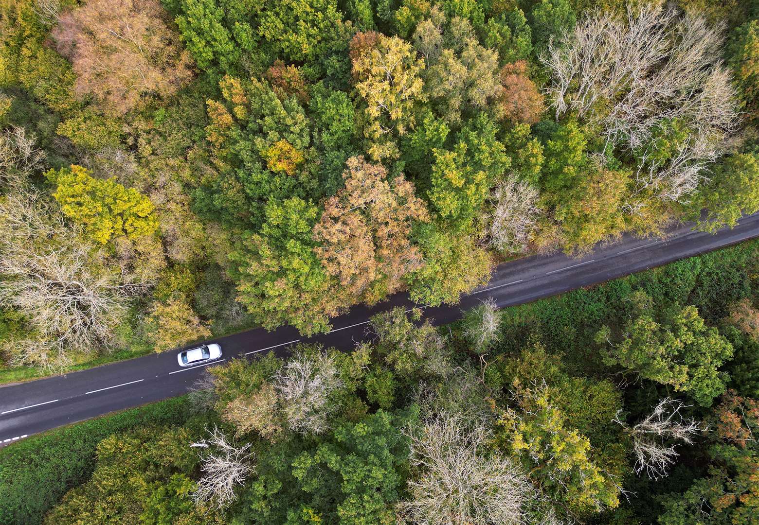 A car makes its way along the B3046 near to Old Alresford in Hampshire at Halloween (Andrew Matthews/PA)