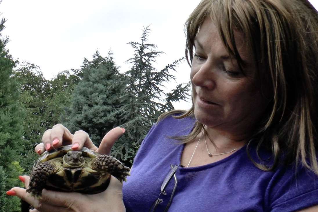Jane Berrow with her tortoise Harriet