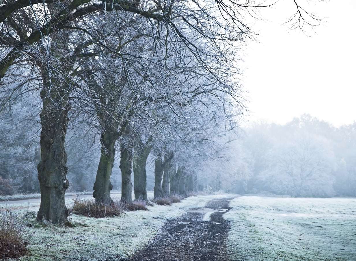 Temperatures are set to plummet in Kent. Stock image.