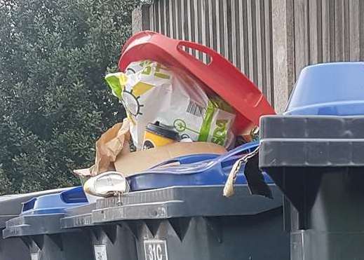 Bins could be left overflowing. Stock pic