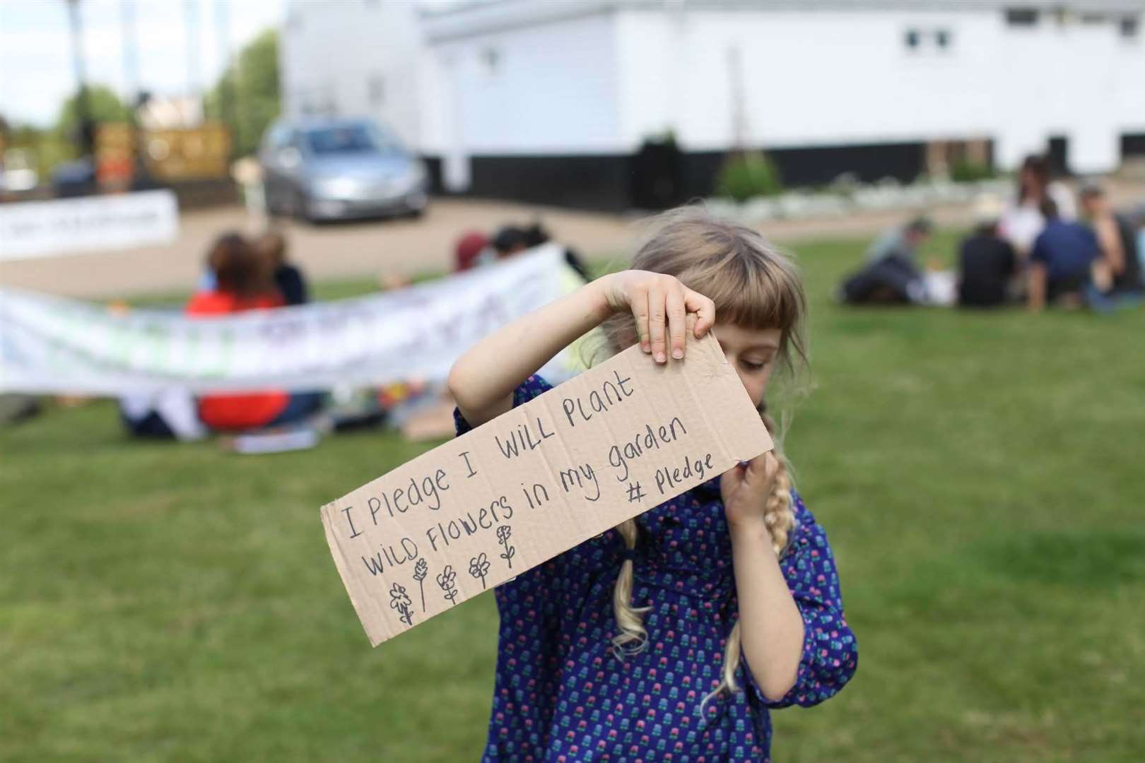 Youth protest picture by Carla Oxlade (12807243)