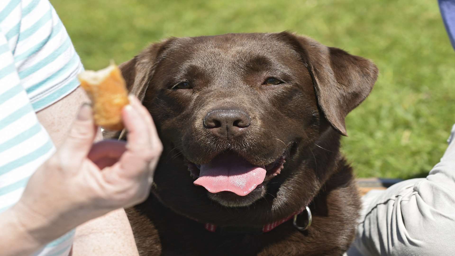 Chloe keeps an eye on lunch