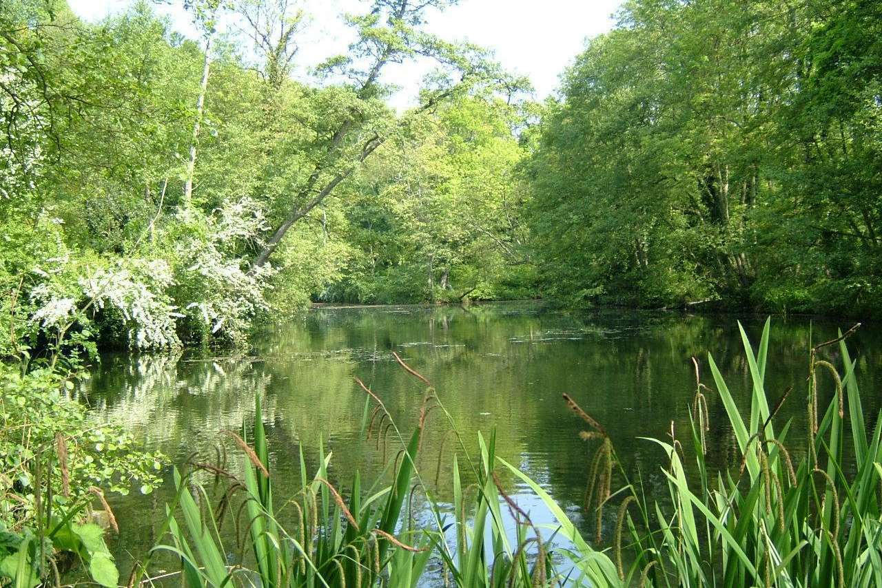 Brockhill Country Park, near Hythe