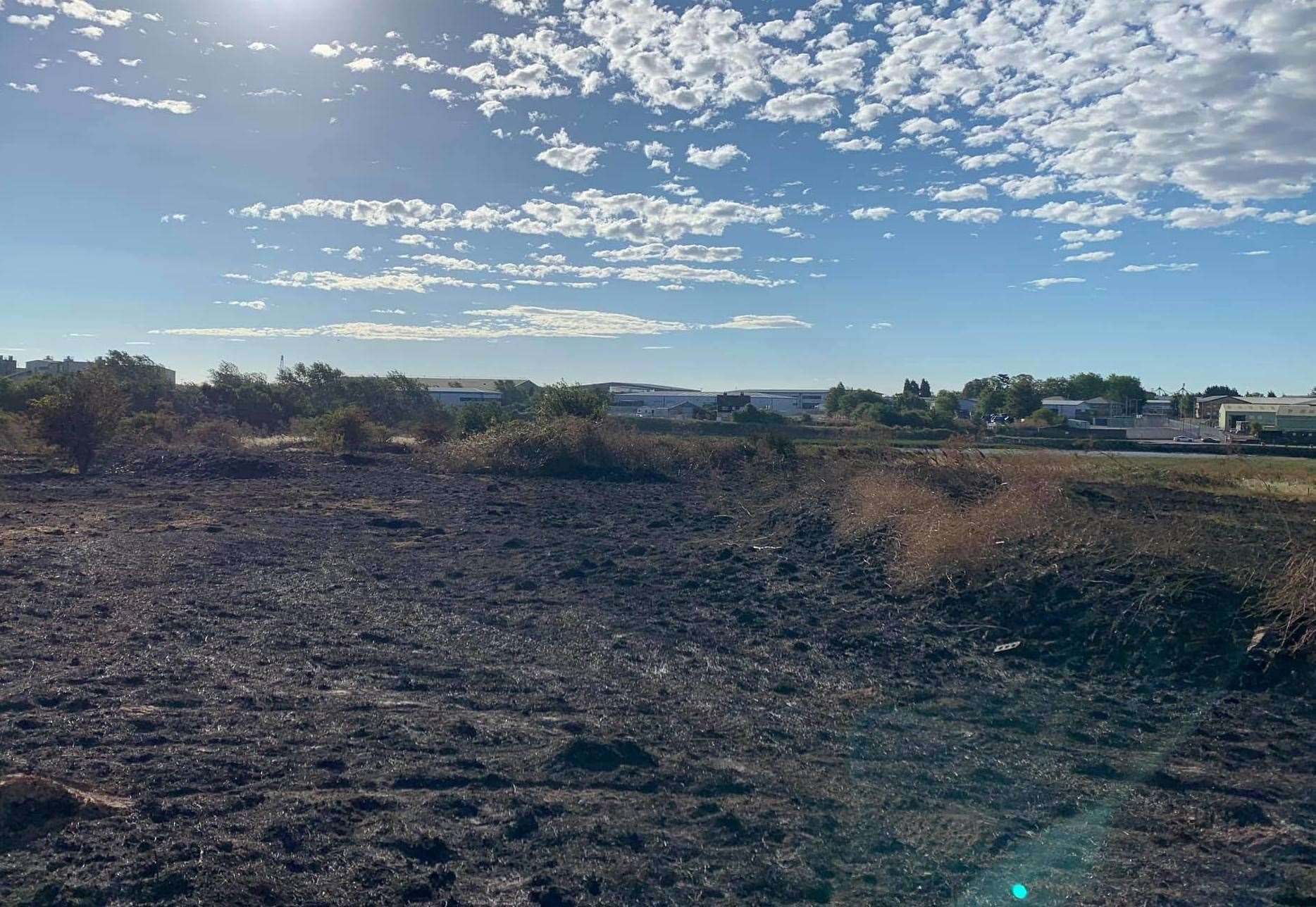 The grass, near Milton Creek Country Park, caught alight on Tuesday. Picture: Kris Staples