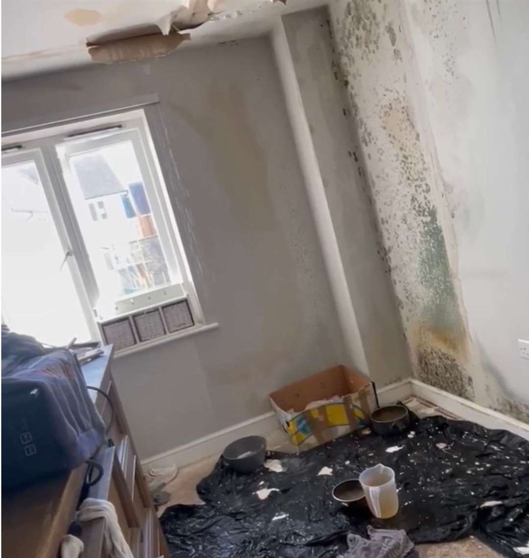 Bethany Harman says her whole flat smells of damp. Picture: Bethany Harman