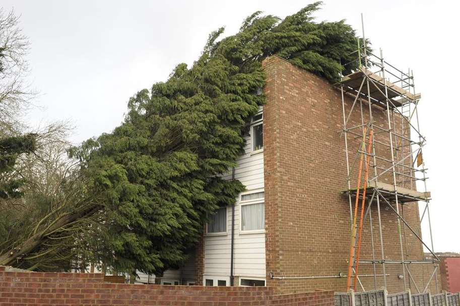 A neighbour's tree fell on Heidi Brett's house before Christmas