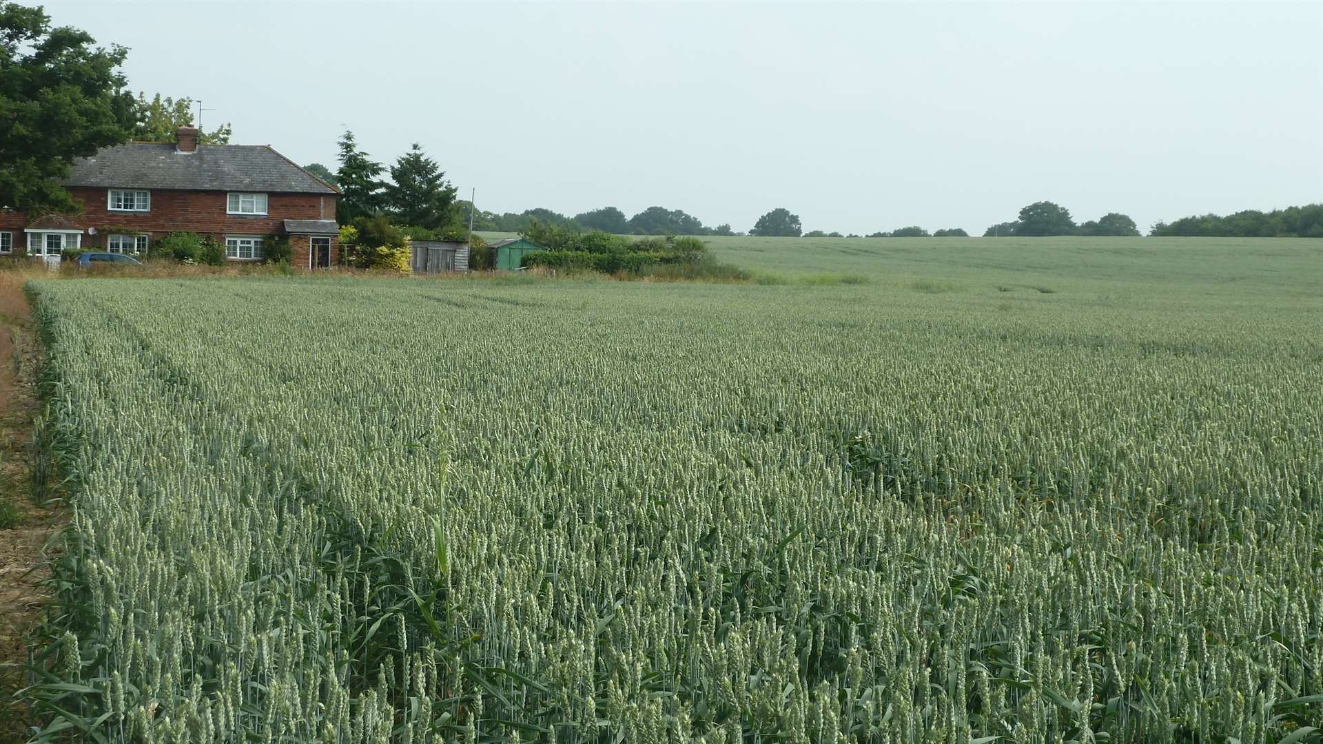 Site of the proposed solar farm