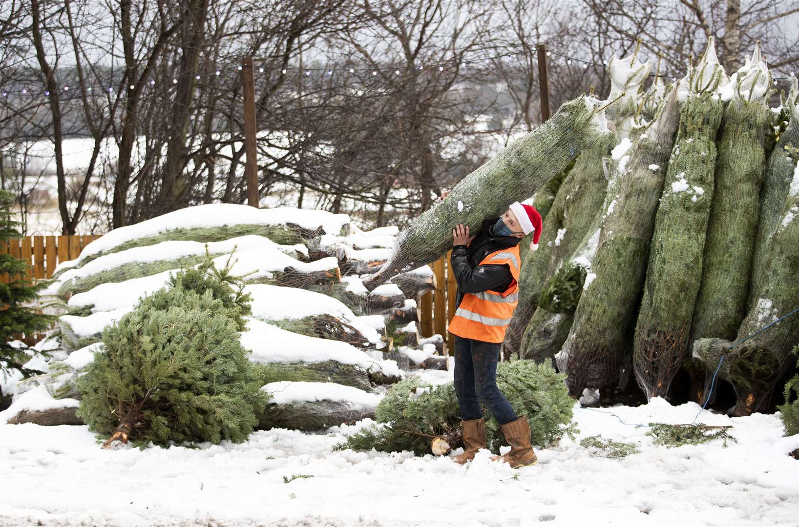 Dave Baptie works in the snow at the Hill End Christmas Tree Centre near Edinburgh (Jane Barlow/PA