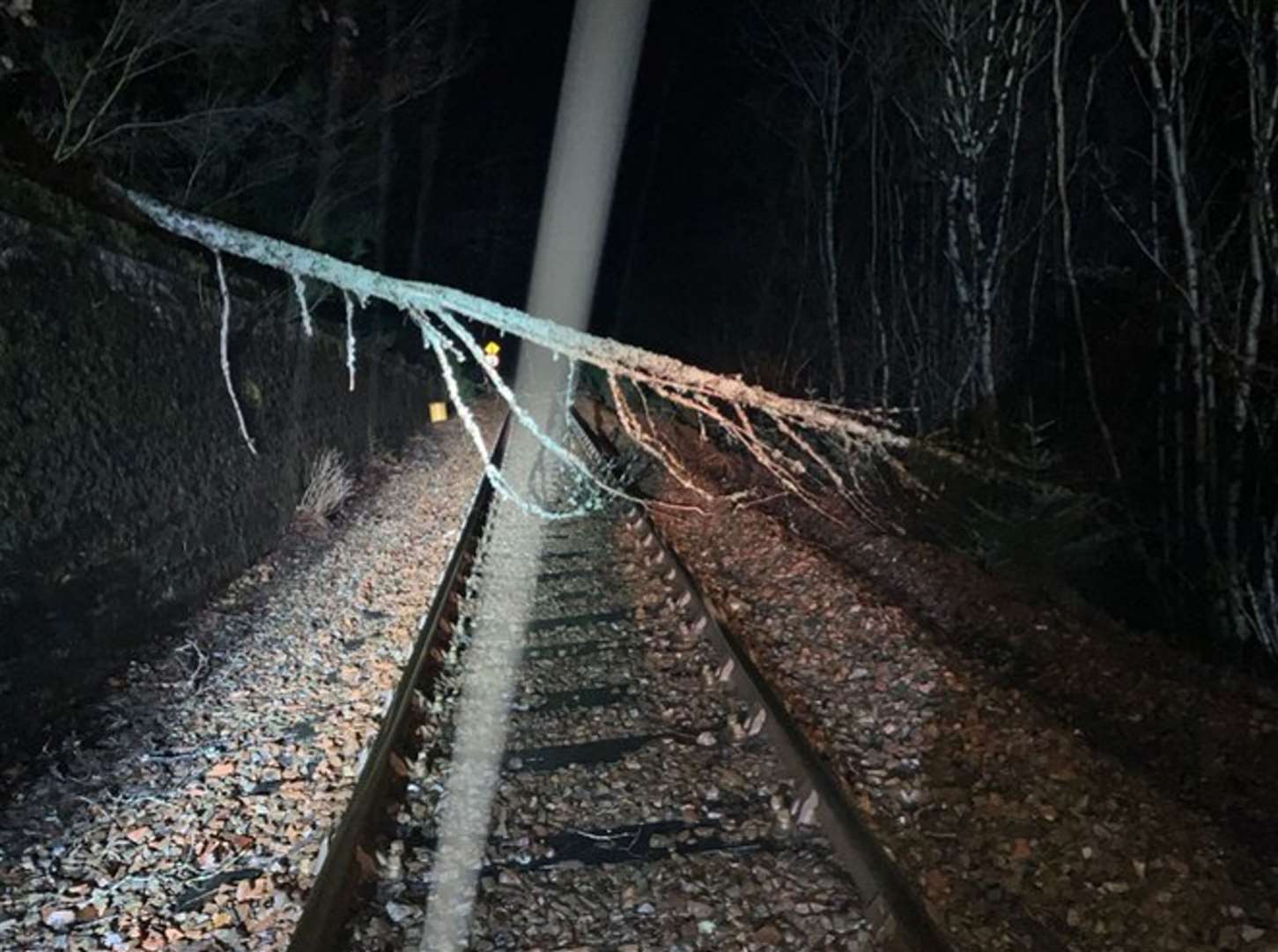 A fallen tree on the West Highland Line to Helensburgh Upper in Scotland (Network Rail Scotland/PA)