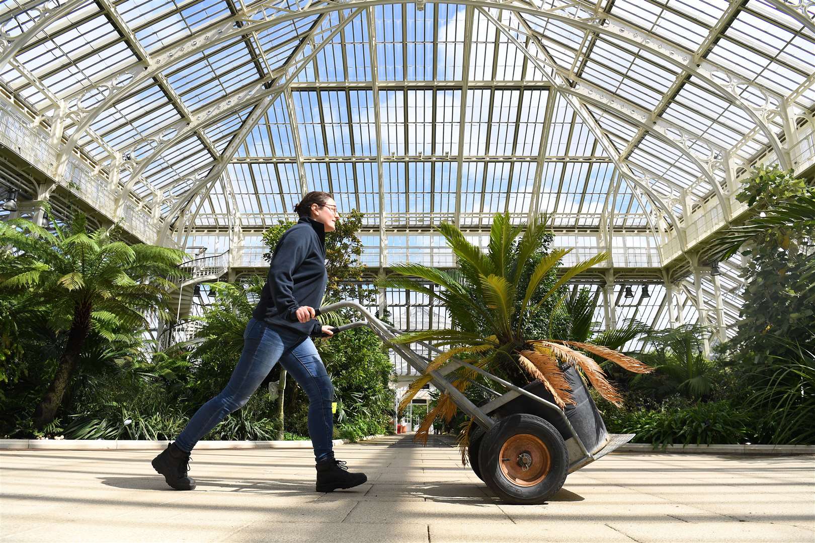 The glasshouses have been closed to members of the public for several months (Kirsty O’Connor/PA)