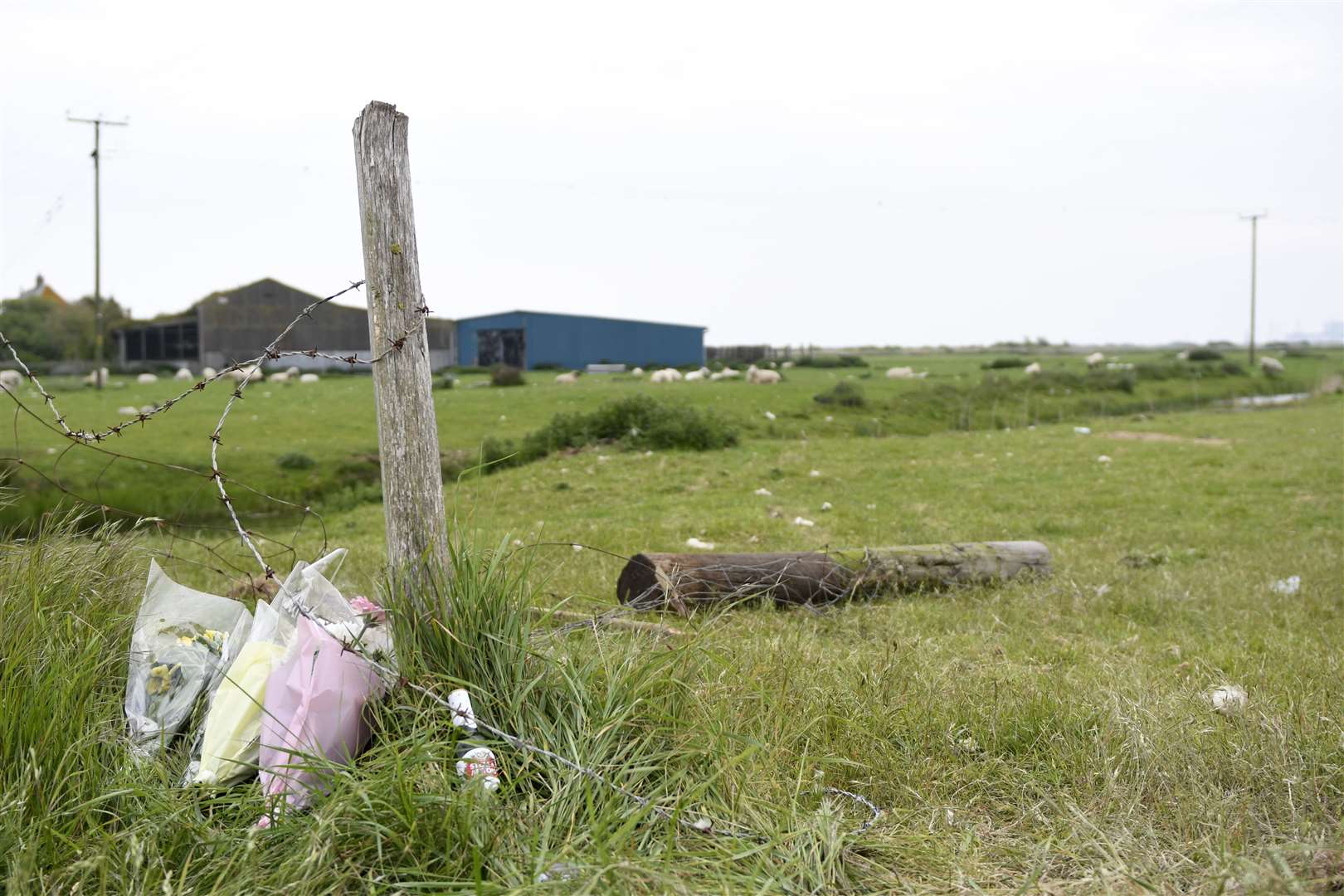 Scene of fatal crash involving Beth Eves and Harry Skilton. Picture: Barry Goodwin.